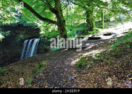 Dalcairney Falls - Dalmellington - Schottland Stockfoto