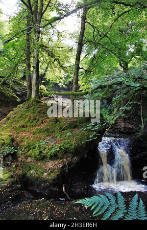Dalcairney Falls - Dalmellington - Schottland Stockfoto