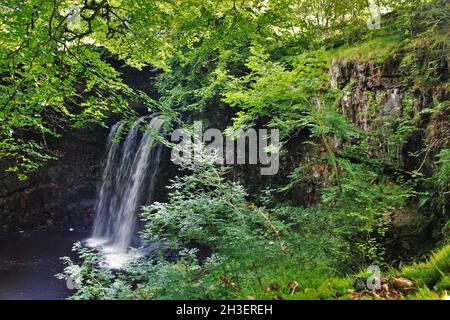 Dalcairney Falls - Dalmellington - Schottland Stockfoto