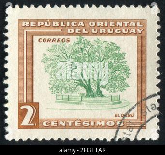 URUGUAY - UM 1954: Briefmarke gedruckt von Uruguay, zeigt Ombu-Baum, um 1954 Stockfoto