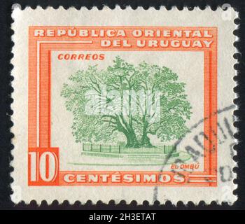 URUGUAY - UM 1954: Briefmarke gedruckt von Uruguay, zeigt Ombu-Baum, um 1954 Stockfoto