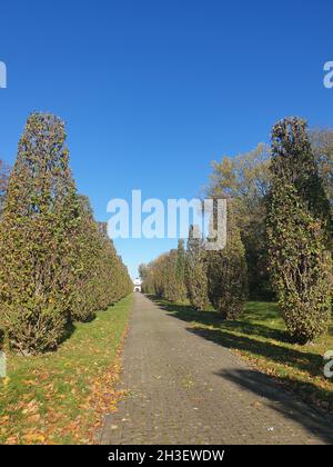 Hauptfriedhof in Mülheim an der Ruhr Stockfoto