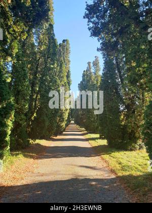 Hauptfriedhof in Mülheim an der Ruhr Stockfoto