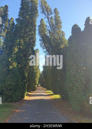 Hauptfriedhof in Mülheim an der Ruhr Stockfoto