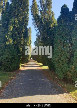 Hauptfriedhof in Mülheim an der Ruhr Stockfoto