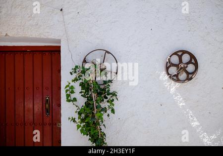Rote Holztür an weißer Wand mit Pflanze Stockfoto