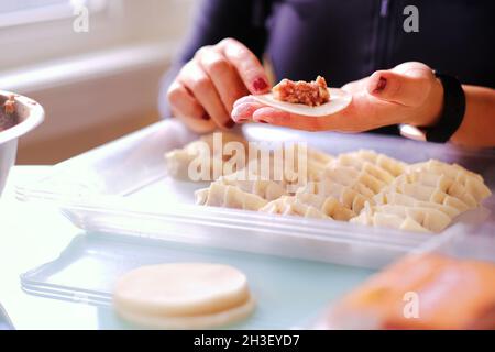 Schöne Dame Hände machen Fleisch Knödel auf Tisch neben Fenster in der Küche zu Hause. Stockfoto