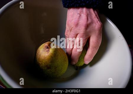 Nahaufnahme des Mannes, der die Hände hält, bringt Früchte. Venedig, Italien, 28. Oktober 2021. (MVS) Stockfoto