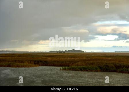 Die Insel Grosser Kirr bei Zingst im Barther Bodden auf Darss bei einem Regenschauer. Für Kraniche ist die Insel ein ungestörter Roosting-Platz. Stockfoto