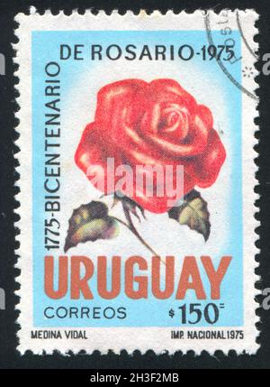 URUGUAY - UM 1975: Briefmarke gedruckt von Uruguay, zeigt Rose, um 1975 Stockfoto