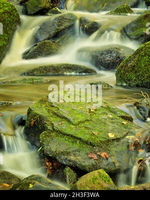 Das Konzept eines Musters in der Natur, das durch fließendes Wasser in einem Bach entsteht Stockfoto