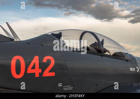 Radom, Polen - 26. Juni 2014: Tag der offenen Tür des Orlik Aerobatic Teams - Flugzeugkabine Stockfoto