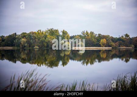 Posen, Wielkopolska, Polen. Oktober 2021. Herbst in Posen, Polen. Auf dem Bild: Nachbarschaft in der Nähe des Rusalka-Sees. NUR ZUR VERWENDUNG mit EDYTORIAL (Bildnachweis: © Dawid Tatarkiewicz/ZUMA Press Wire) Stockfoto