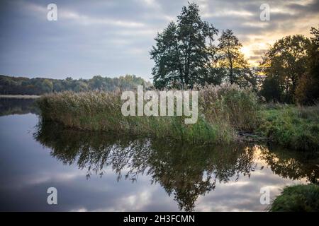 Posen, Wielkopolska, Polen. Oktober 2021. Herbst in Posen, Polen. Auf dem Bild: Nachbarschaft in der Nähe des Rusalka-Sees. NUR ZUR VERWENDUNG mit EDYTORIAL (Bildnachweis: © Dawid Tatarkiewicz/ZUMA Press Wire) Stockfoto