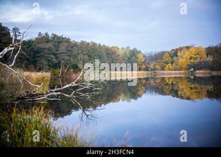 Posen, Wielkopolska, Polen. Oktober 2021. Herbst in Posen, Polen. Auf dem Bild: Nachbarschaft in der Nähe des Rusalka-Sees. NUR ZUR VERWENDUNG mit EDYTORIAL (Bildnachweis: © Dawid Tatarkiewicz/ZUMA Press Wire) Stockfoto