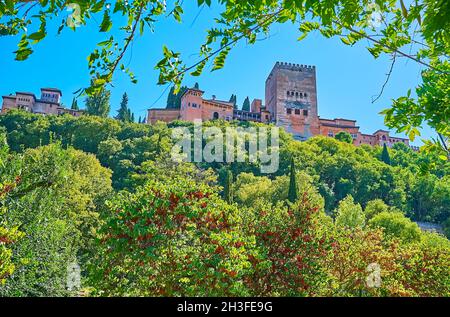 Das Viertel Albaicin ist der schöne Ort, um die Aussicht auf die Alhambra zu genießen, die sich auf dem grünen Sabika-Hügel in Granada, Spanien, befindet Stockfoto