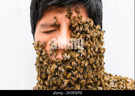 Das Gesicht des Menschen ist von Bienen bedeckt Stockfoto