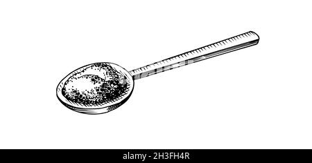 Holzlöffel Meersalz. Haufen von Samen. Gewürz in natürlicher Verpackung. Aroma oder Kochsalzlösung. Banner im Vintage-Hintergrund. Eingravierte, handgezeichnete alte Skizze. Stock Vektor