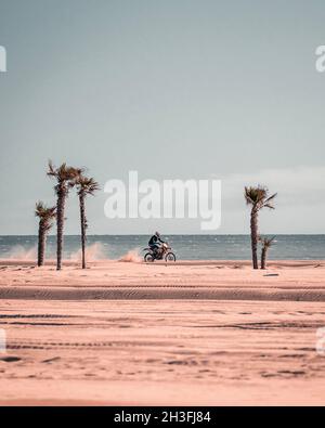 Motocross-Fahrer, der in Sanddünen mit herrlichen Palmen und dem Meer im Hintergrund in Bibione, Italien, an einem stimmungsvollen und hellen Tag fährt. Stockfoto