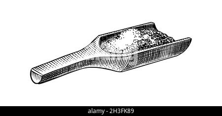 Holzlöffel Meersalz. Haufen von Samen. Gewürz in natürlicher Verpackung. Aroma oder Kochsalzlösung. Banner im Vintage-Hintergrund. Eingravierte, handgezeichnete alte Skizze. Stock Vektor