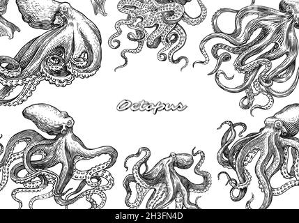 Seeoktopus-Poster oder -Banner. Eingraviert von Hand gezeichnet in alter Skizze, Vintage Kreatur. Nautisch oder marine, Monster. Tier im Ozean. Vorlage für Stock Vektor