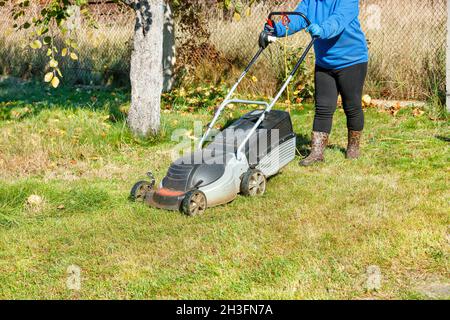 Eine Gärtnerin pflegt einen grünen Rasen und mäht das Gras mit einem elektrischen Rasenmäher in ihrem Hinterhof an einem hellen sonnigen Herbsttag. Speicherplatz kopieren. Stockfoto