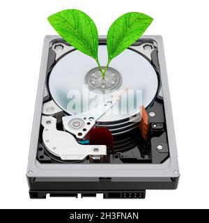 Kryptowährungs-Farming auf HDD-Konzept. Grüne Blätter mit Festplatte, 3D-Rendering isoliert auf weißem Hintergrund Stockfoto