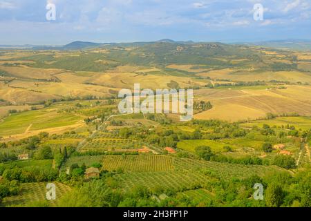 Luftlandschaft auf den terrassierten Weinbergen des toskanischen Weinbaudorfes Montepulciano im toskanisch-emilianischen apennin. Italienische Landschaft und berühmt Stockfoto