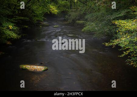 Sanfter Wasserfluss um den Felsen von Cataloochee Creek im Great Smokies National Park von North Carolina Stockfoto