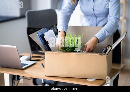 Job Beenden. Mitarbeiter Verpackt Karton Am Schreibtisch Stockfoto