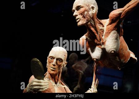 Madrid, Spanien. Oktober 2021. Mirror the Times exemples Seen during the Exhibition.'Body Worlds, the Rhythm of Life' Ausstellung des deutschen Anatomen Gunther von Hagens, die sich mit dem Einfluss des Lebens im 21. Jahrhundert auf den menschlichen Körper im Raum 5.! Von Ifema beschäftigt. Anatomieproben umfassen über 200 plastinierte Proben, einschließlich Vollkörper und Körperkonfigurationen. (Foto: Atilano Garcia/SOPA Images/Sipa USA) Quelle: SIPA USA/Alamy Live News Stockfoto