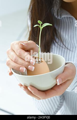 Weibliche Hände halten wachsende Pflanze Stockfoto