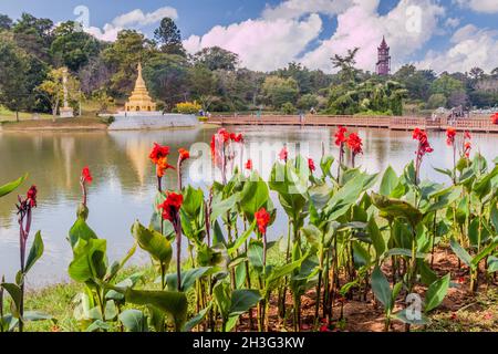 PYIN OO LWIN, MYANMAR - 29. NOVEMBER 2016: Blumen und ein See im Botanischen Garten von Kandawgyi in Pyin Oo Lwin, Myanmar Stockfoto