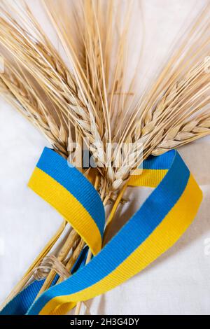 Goldweizen Trinkhalme Stacheln Haufen in gelb und blau eingewickelt, ukrainische Nationalflagge Farben, Band auf weißem Stoff Hintergrund. Landwirtschaft Ernte Garbe Stockfoto