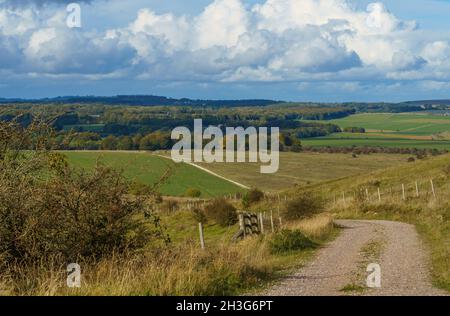 Ein Blick über die englische Landschaft mit grünen Feldern, Wäldern und einem großen blau-weißen Wolkenhimmel in Richtung Everleigh von Sidbury Hill Wilts Stockfoto