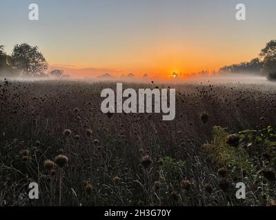 Ländlicher Sonnenuntergang mit Nebelschwaden Stockfoto
