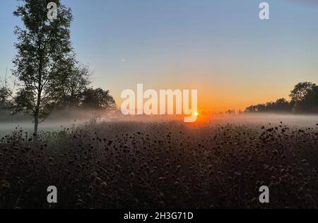 Ländlicher Sonnenuntergang mit Nebelschwaden Stockfoto