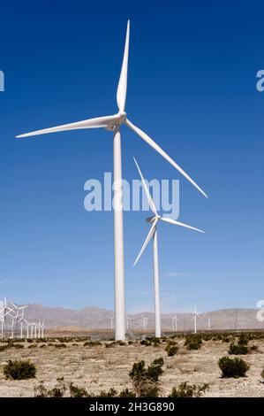 Windturbinen zur Stromerzeugung in Riverside County, Kalifornien Stockfoto