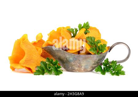 Pfifferlinge Pilze in silbernem Sauceboat mit grüner Petersilie isoliert auf weißem Hintergrund Stockfoto