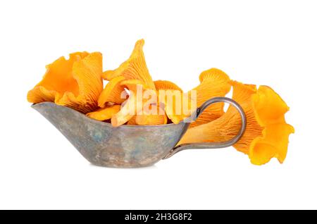 Gelbe Pfifferlinge Pilze in silbernem Sauceboat isoliert auf weißem Hintergrund Stockfoto