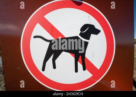 Ein Plakat oder Schild, das Hunde in einem East Bay Park in Kalifornien untersagt. Stockfoto