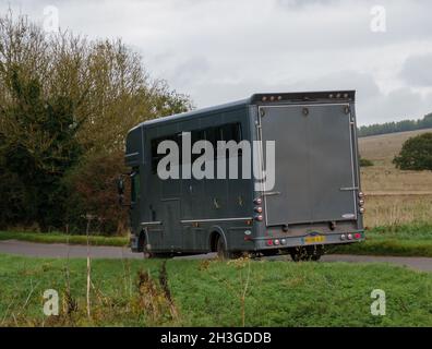 Großer grauer Kutscher Arbeitspferd transportiert Lastwagen in Bewegung Stockfoto