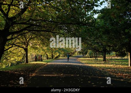 Kelvingrove Park, Glasgow bei Herbstsonne. Blätter, Schatten, Bäume. Schottland 2021 Stockfoto