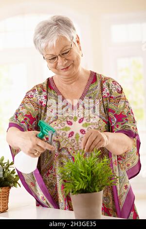 Glückliche ältere Frau Gießanlage Stockfoto