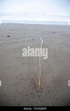 Point Reyes National Seashore ist un Marin County an der Pazifikküste von Nordkalifornien in den Vereinigten Staaten. Stockfoto