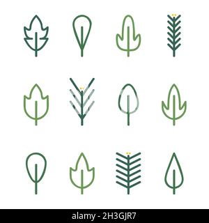 Skizzieren Sie Blätter und Nadelbäume Zweige Set - Vektor-Illustration Stock Vektor