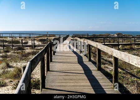 Holzweg führt zum Strand durch die Sanddünen des Naturreservats Sao Jacinto, Aveiro, Portugal. Stockfoto