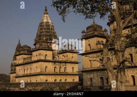 Chhatris in Orchha. Madhya Pradesh, Indien Stockfoto