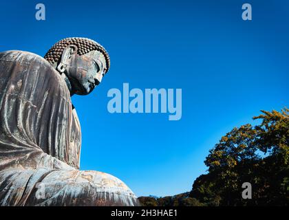 Der große Buddha, oder Kamakura Daibutsu, die 43 Fuß hohe und 103 Tonnen schwere Statue wurde 1252 fertiggestellt und steht in Kamakura, Japan. Stockfoto