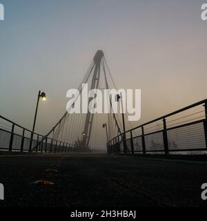 Der Herrenkrugsteg, eine Hängebrücke über die Elbe auf dem Elbradweg bei Magdeburg im Nebel Stockfoto